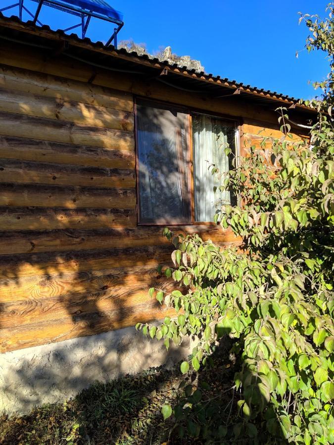 Old Halidzor Villa Bagian luar foto